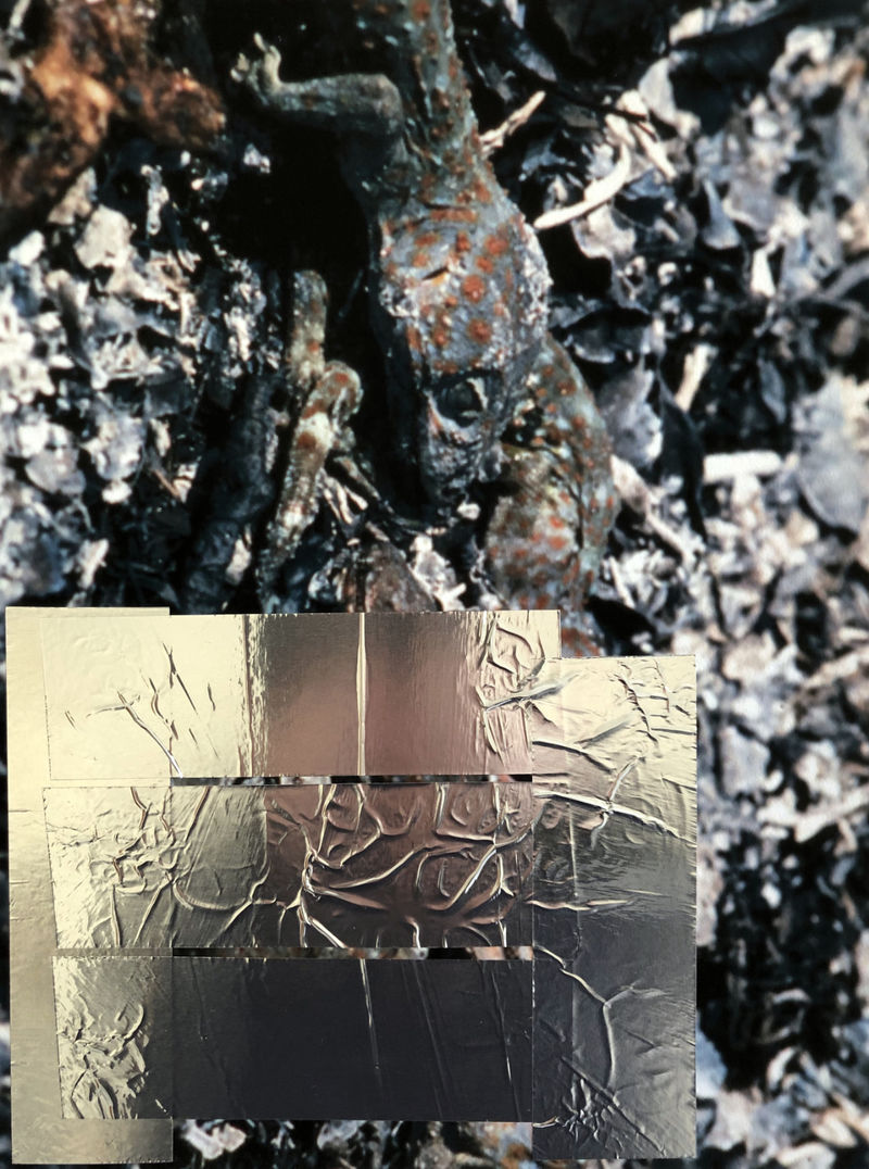 18 topsy-turvy-2019-Waldbrand-Collage-6627.jpg