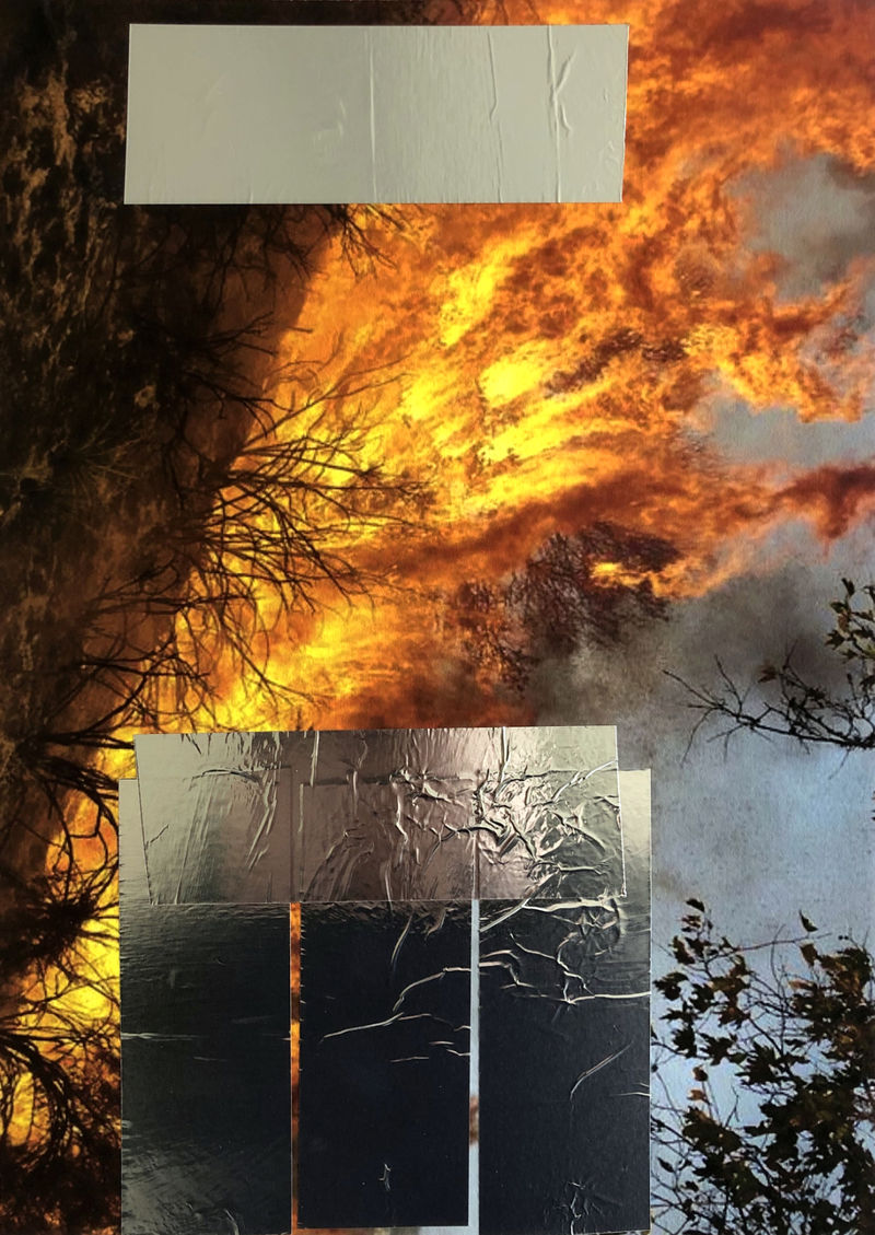 20 topsy-turvy-2019-Waldbrand-Collage-6637.jpg