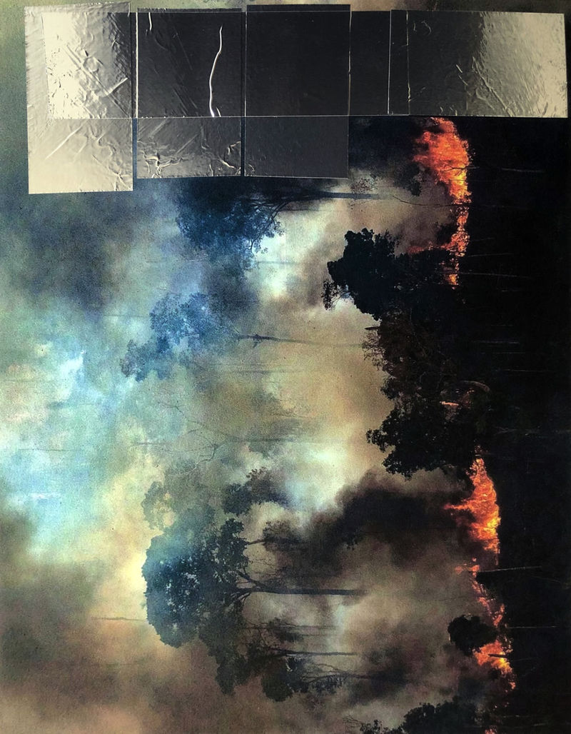 24 topsy-turvy-2019-Waldbrand-Collage-6647.jpg