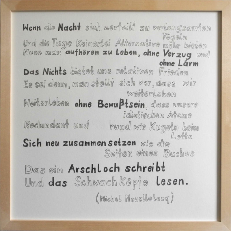 6 Houellebecq Nacht0275.jpg