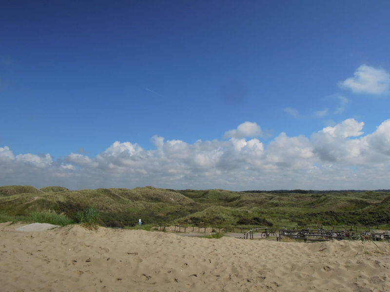10a w M 12.jpg