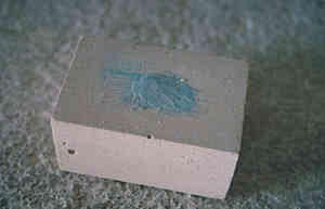 23 AWandR23 web.jpg