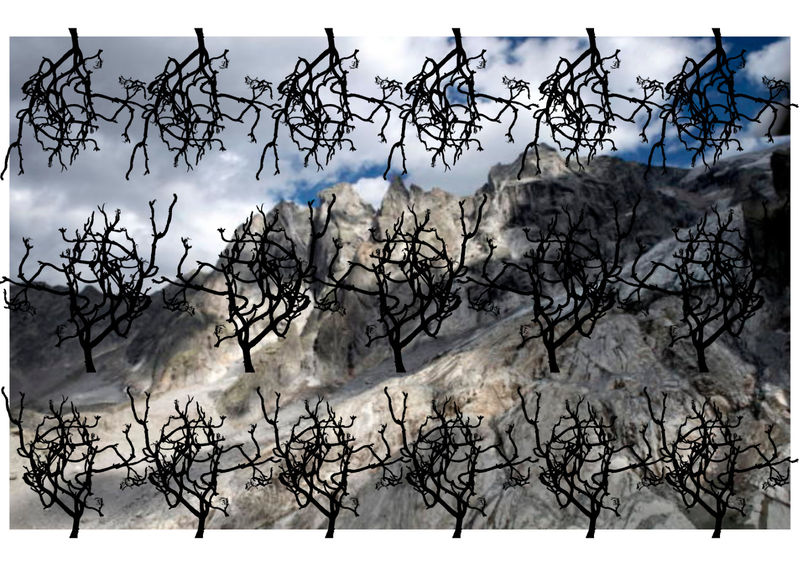 13 Lawine Hochgebirge web.jpg