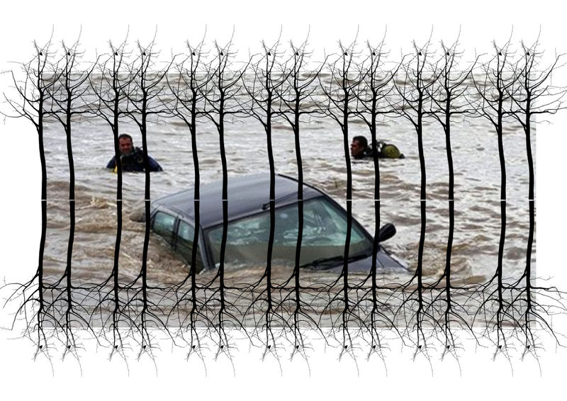 2 Hochwasserschwimmer web.jpg
