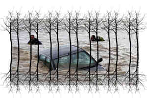 2 Hochwasserschwimmer web.jpg